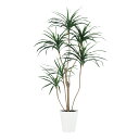 フェイクグリーン【 光触媒 コンシンネ 】幅100 × 奥行90 × 高さ180cmオフィスグリーン 観葉植物 フェイク 人工観葉植物 大型 開業祝い 開店祝い...