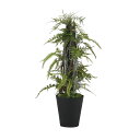 フェイクグリーン【 光触媒 ミックスファンヘゴ 】幅45 × 奥行45 × 高さ90cmオフィスグリーン 観葉植物 フェイク 人工観葉植物 大型 開業祝い 開店...