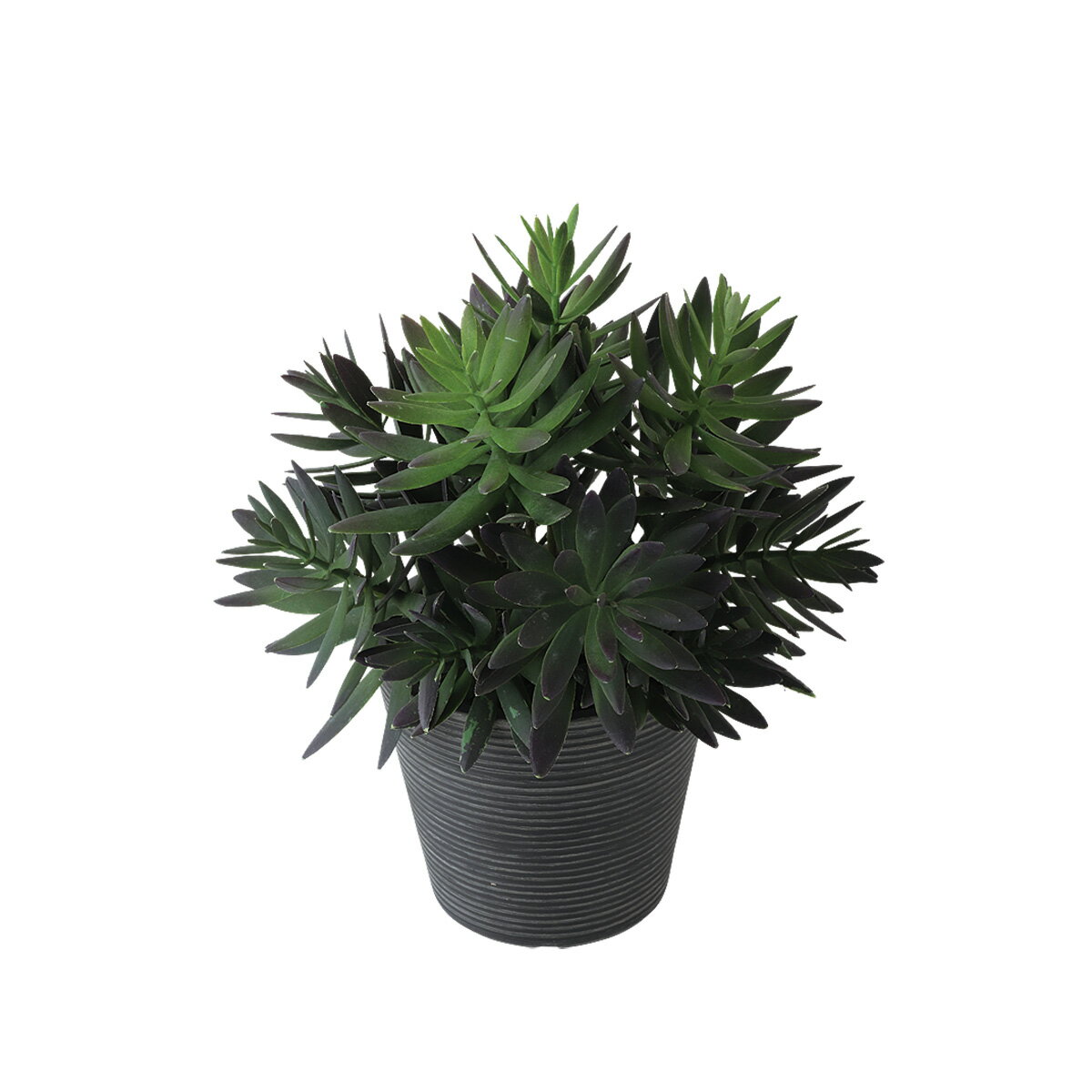 フェイクグリーン【 サッカレント ポット 】幅23 × 奥行23 × 高さ28cmオフィスグリーン 観葉植物 フェ..