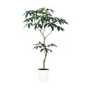 フェイクグリーン【 光触媒 パキラ FST 】幅80 × 奥行70 × 高さ150cmオフィスグリーン 観葉植物 フェイク 人工観葉植物 大型 開業祝い 開店祝...
