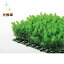 【光触媒加工 コムギ マット】□26cm×H7cm光触媒加工で脱臭 抗菌 抗ウィルス効果フェイクグリーン 光触媒 人工観葉植物 インテリアグリーン オフィスグリーン 人工樹木 造花 お祝い 開店祝い マットコムギ