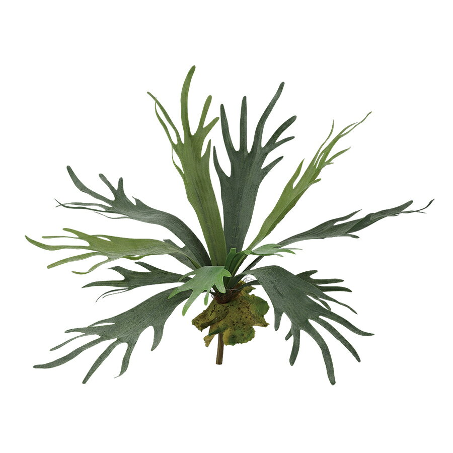 フェイクグリーン【 コウモリラン 】幅60 × 奥行60 × 長さ35cmオフィスグリーン 観葉植物 フェイク 人工観葉植物 装飾 アレンジ おしゃれ 吊る 巻く 置く つける