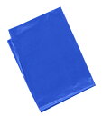 アーテック 青　カラービニール袋（10枚組） 45534 4521718455341
