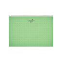 F-5303-6 リヒトラブ アクアドロップス クリヤーケース 黄緑 F-5303-6(1枚入) リヒトラブ 4903419168148(10セット)