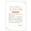 NB 伝える気持A5便箋 5320419 エヌビー社 4905260683931(20セット)