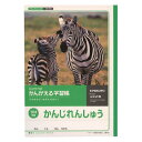 キョクトウ かんがえるノート漢字練習 104字詰 L418 日本ノート 4901470002364