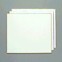 マルジョウ1P ECOLE/エコール 大色紙 画仙上1P入 マルジョウ 1P 中村栄幸堂 4511166010087(240セット)(3)