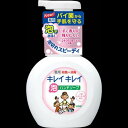 キレイキレイ 薬用 泡ハンドソープ シトラスフルーティの香り 本体ポンプ 250ml