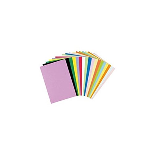 231アカムラサキ リンテック ニューカラー8切 あか紫 100枚 リンテック 4954022682316(100セット)