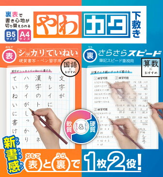 ソニック 下敷き A4 やわカタ 裏表で書き心地が切り替えられる 透明 SK-4092-T