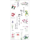 [ゆうパケット可/1個まで] 表現社 折々の花一筆箋十二ヶ月の花縦罫 美濃和紙12柄計 綴 no.23-239 表現社 4961187232393