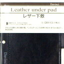 DR113 ダ・ヴィンチ 聖書リフィル レザー下敷き レイメイ藤井 4902562354569(5セット)