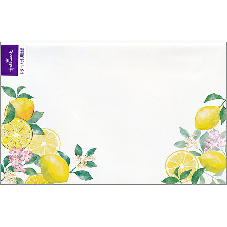 日本ホールマーク パッド用封筒レモンアンドハヒ 823542 4961099823542（6セット）
