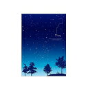 12389006 日記帳 星空柄 デザインフィル 4902805123891(3)