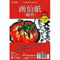 S129C 絵手紙用 アートペーパーポストカードサイズ 画仙紙 越前 耳付き S129C(5枚入) マルマン 4979093129157(240セット)