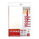 オキナ OA対応金封A3 CK50N オキナ 4970051034759