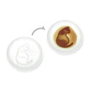 ネコ醤油皿 ふりむく生活醤油皿猫 ねこ 小皿 アルタ 4993418041412(3セット)
