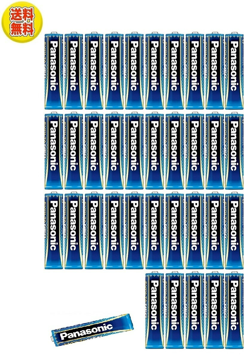 ���ܥ륿 �����ӥ��ܥ륿�ͥ� ñ4�� LR03NJ��2S(2����) �ѥʥ��˥å� 4549077898920