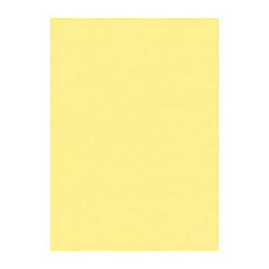 色画用紙 4ツ切 nc101-4 クリーム リュウグウ 101クリーム(100セット)