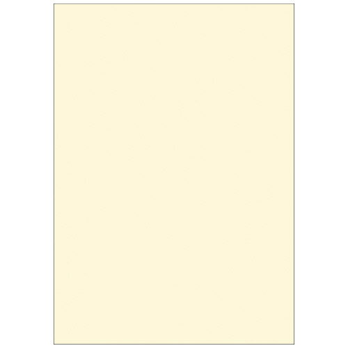 タカ印 手作り賞状作成用紙A4判 クリーム 10枚 4974268253217