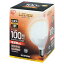 LEDŵ100W ܡ ŵ LDG14L-G-10V4 ꥹ 4967576300438