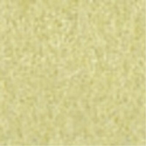 北越コーポレーション やよいカラー 8ツ切 やなぎ 100枚 4535449706085（10セット）