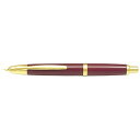 PILOT パイロット 万年筆　キャップレス　DR　F FC-15SR-DRF