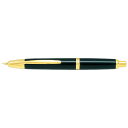 PILOT パイロット 万年筆　キャップレス　DL　F FC-15SR-DLF