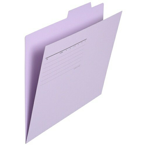 プラス 個別フォルダー FL-061IF A4E 紫 10枚 2147345084451