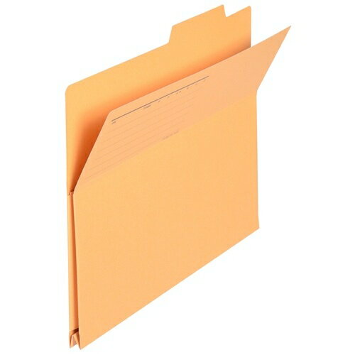 プラス 持出しフォルダー FL-061PF A4E 黄 10枚 2147345084093