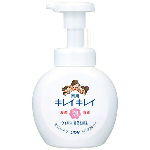 ライオン キレイキレイ薬用泡ハンドソープ 250mL 4903301176848