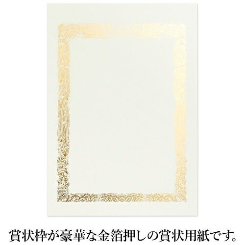 オキナ OA対応金箔賞状用紙 A4横書 5枚 SGA4Y 4970051008668