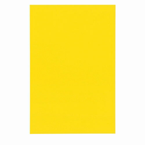 祤ƥå ޥͥåȥȥ磻ɥĥͭ  B210J-Y 4547345015451