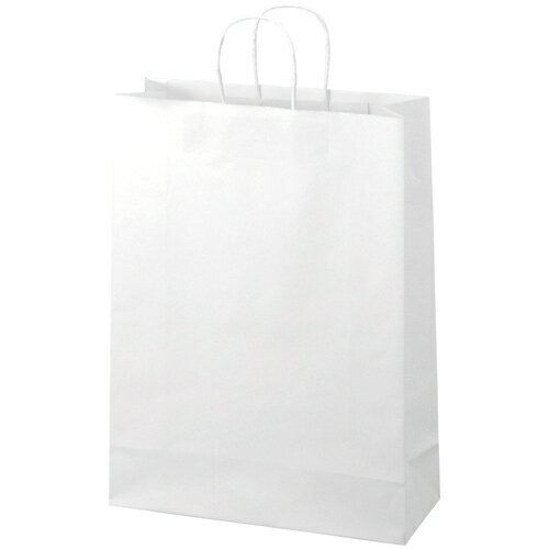 スマートバリュー 手提袋 丸紐 白 特大 300枚 B290J-W6 4547345021667