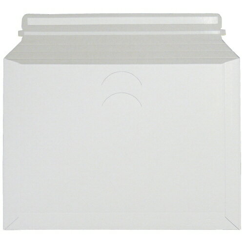 フロンティア デルパックお徳用 B4無地 25枚 DP2803 4580416988599