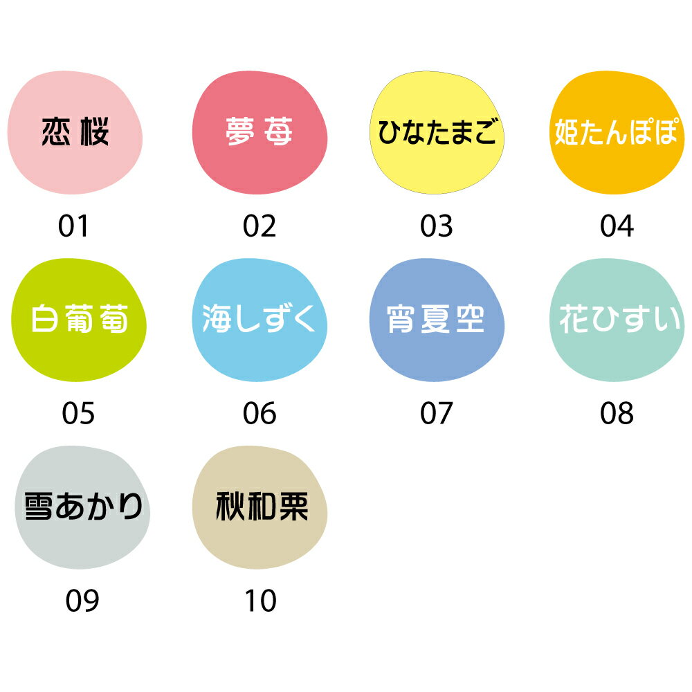 LPCR010-09S ZIG レターペン COCOIRO 雪あかり ブラック 呉竹 4901427228762（210セット）