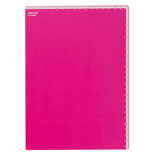 ĥ B5ع ԥ ST106PK ĥ 4901478144950