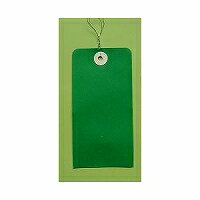 ダイミドリ　エコール テンカラー荷札1000マイダイ ミドリ エコール流通グループ 4937020010282