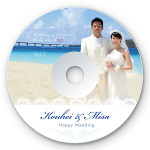 サンワサプライ インクジェットフォト光沢DVD/CDラベル 