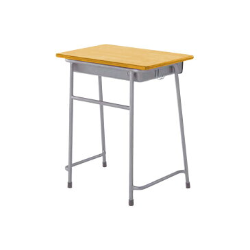 【法人様限定】学校机 学生机 生徒用机 教室机 勉強机 学習デスク 講義机 講義デスク 固定式 新JIS5号 スチール物入れ 机 R-エコール1000L