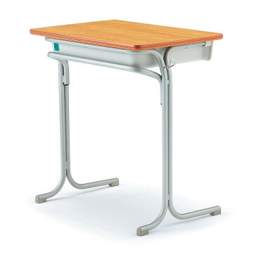 【法人様限定】学校机 学生机 生徒用机 教室机 勉強机 学習デスク 講義机 講義デスク 固定式 新JIS5.5号 樹脂物入れ Hi-X3型 机 R-HI-X3D