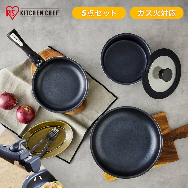 �ե饤�ѥ� ���å� �ե饤�ѥ󥻥å� ���������� �����ꥹ������� ��ü꤬���� ���ѵ�4�ع�¤ �ѵ��� �ե饤�ѥ� 20cm 26cm �� 18cm PFO...