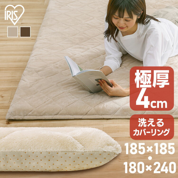 ラグ おしゃれ 洗える 北欧 2畳 3畳 リビング カバー 185 240 厚手 キルト 滑り止め ラグマット カーペット 絨毯 お手入れ 簡単 正方形 長方形 暖かい 冬用 あったか ごろ寝 らぐ こたつ敷き布団 極厚 アイリスオーヤマ ORG-V1818 ORG-V1824