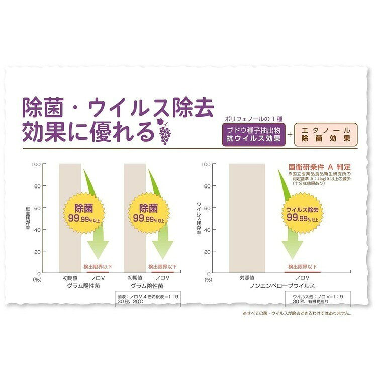 オフィス家具堂のユービコールノロV 600m N-103冬 ぶどう抽出エキス コンパクト 食品添加物 弱酸性｜アングル2