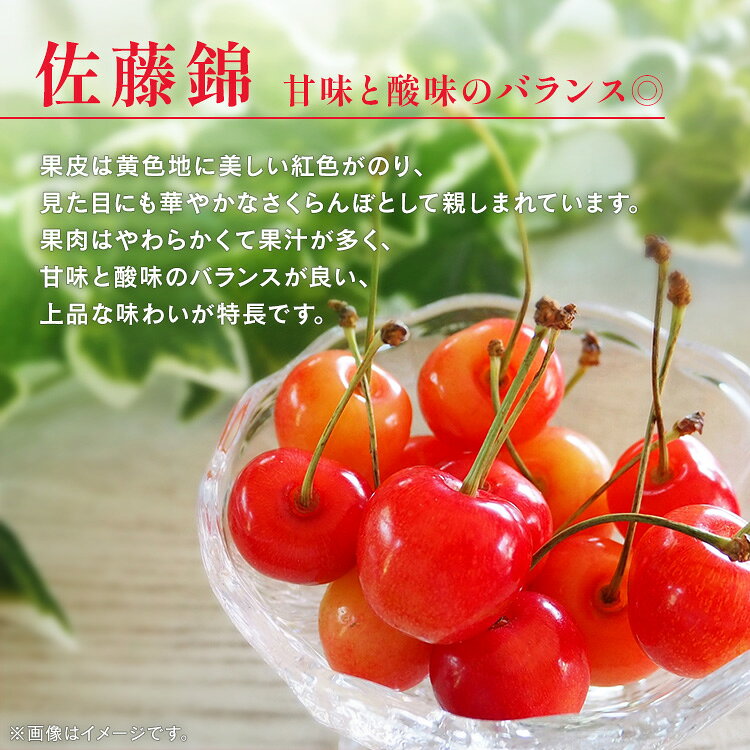 北海道産さくらんぼ 500g 1kg さくらんぼ 北海道 産地直送 旬 農産 フルーツ ギフ...