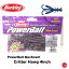 20%off Berkley / С쥤  PowerBait MaxScent Critter Hawg 4inch / åۥå 4  С졼 ¼ ॱ Բ åݥ / Ʊȯġ