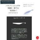 TRANSCENDENCE X Chill /トランスセンデンスxチルスイムベイト ソフトベイト sences センス 琵琶湖（代引き不可商品 クリックポストにてポスト投函）