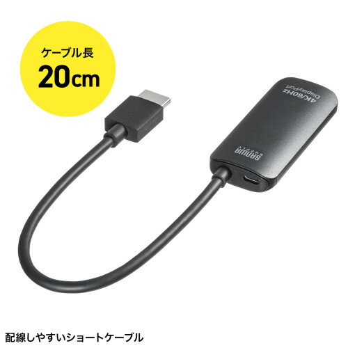 掠ץ饤HDMI-DisplayPortѴץ( 4K/60Hz )AD-HD31DP1ʬ4K/60Hz ...