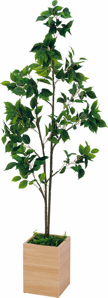 【メーカー在庫あり】【法人様配送限定】ベルク 樹木プランター GR5089 外寸法:W600×H1500×D600mm プランター部分:ナチュラル色 フェイクグリーン 造花 人口植栽 人工観葉植物 ボックスプランター フィカスベンジャミン 完成品