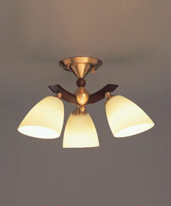 ǥꥢסC2024LE semp-LED   E26LEDŵ塡7.6WX3 (ŵ忧)   ֥饦...